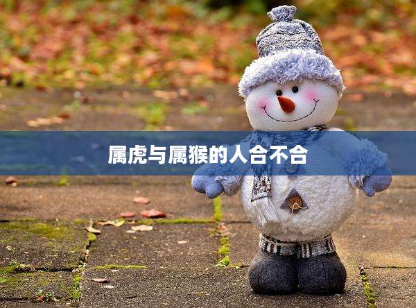 属虎与属猴的人合不合