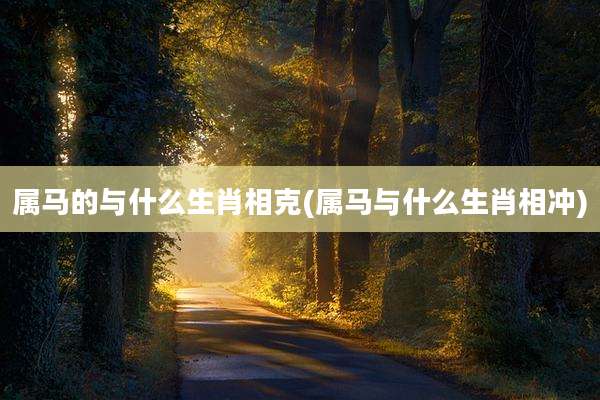 属马的与什么生肖相克(属马与什么生肖相冲)
