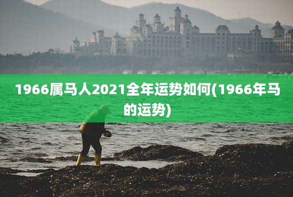 1966属马人2021全年运势如何(1966年马的运势)
