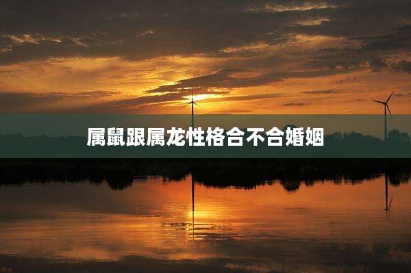 属鼠跟属龙性格合不合婚姻