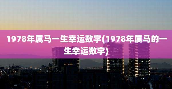1978年属马一生幸运数字(1978年属马的一生幸运数字)
