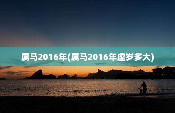 属马2016年(属马2016年虚岁多大)