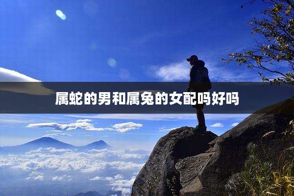 属蛇的男和属兔的女配吗好吗