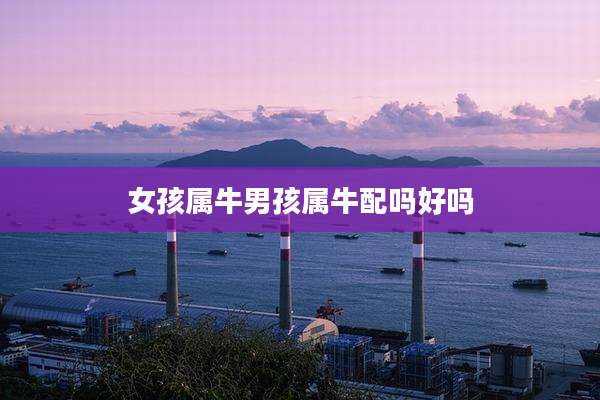 女孩属牛男孩属牛配吗好吗