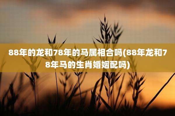 88年的龙和78年的马属相合吗(88年龙和78年马的生肖婚姻配吗)