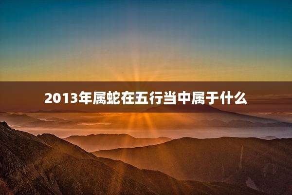 2013年属蛇在五行当中属于什么