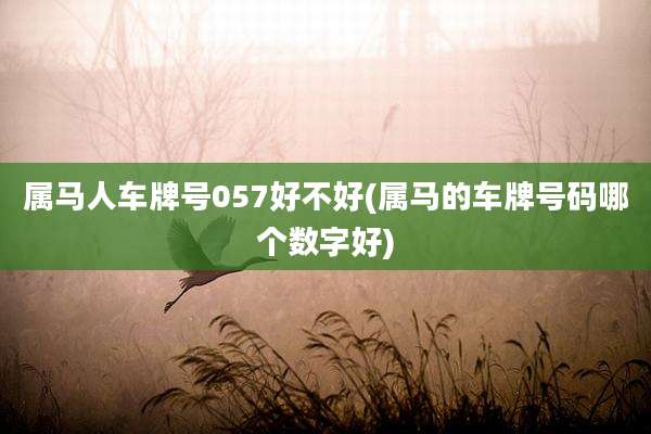 属马人车牌号057好不好(属马的车牌号码哪个数字好)