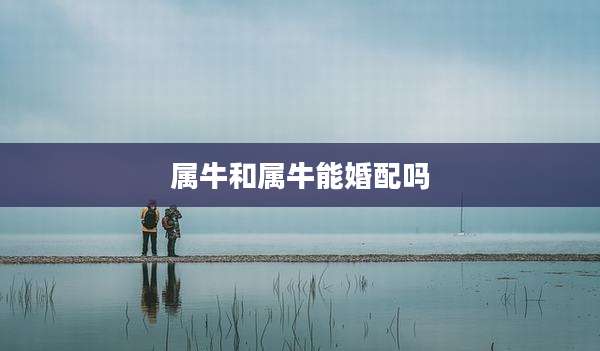 属牛和属牛能婚配吗