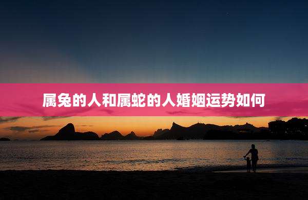 属兔的人和属蛇的人婚姻运势如何