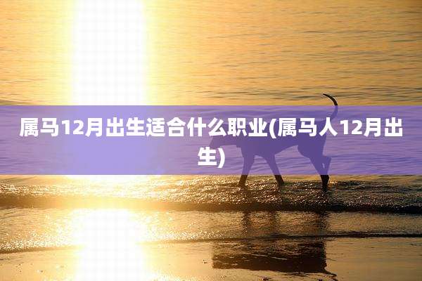 属马12月出生适合什么职业(属马人12月出生)