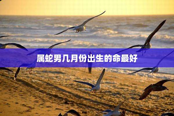 属蛇男几月份出生的命最好