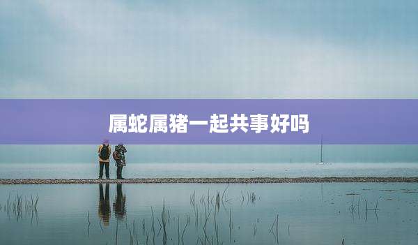 属蛇属猪一起共事好吗