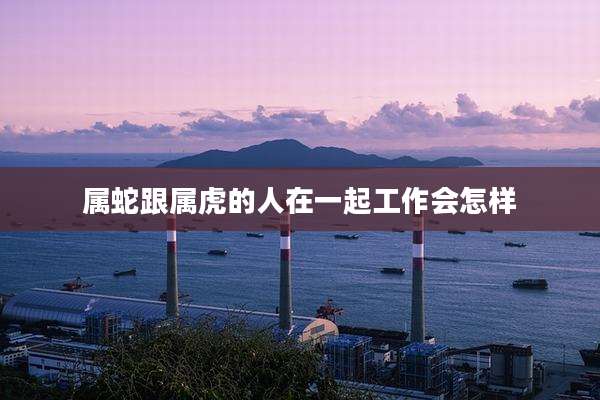 属蛇跟属虎的人在一起工作会怎样