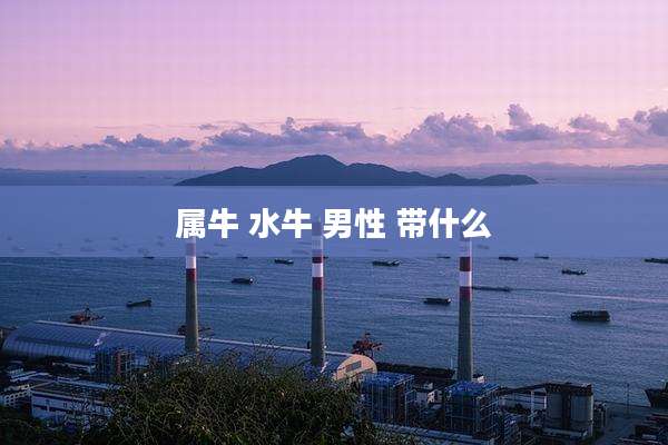 属牛 水牛 男性 带什么