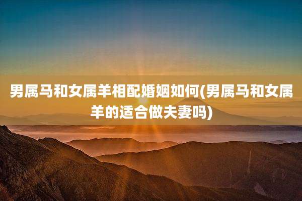 男属马和女属羊相配婚姻如何(男属马和女属羊的适合做夫妻吗)