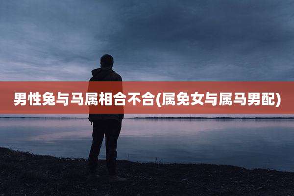 男性兔与马属相合不合(属免女与属马男配)