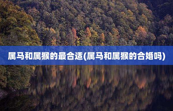 属马和属猴的最合适(属马和属猴的合婚吗)