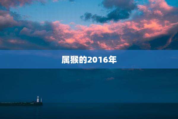 属猴的2016年