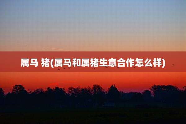 属马 猪(属马和属猪生意合作怎么样)