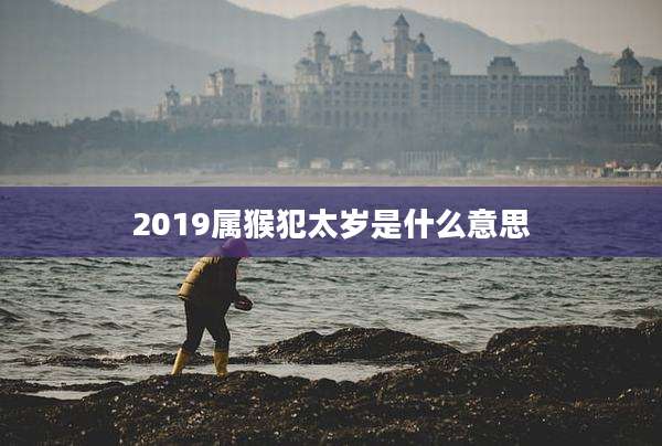 2019属猴犯太岁是什么意思