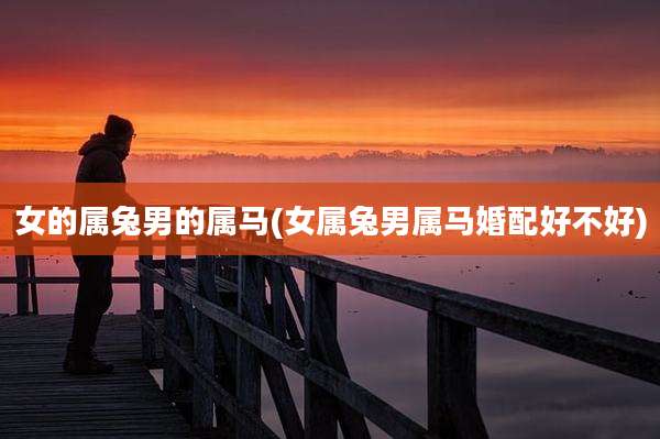 女的属兔男的属马(女属兔男属马婚配好不好)