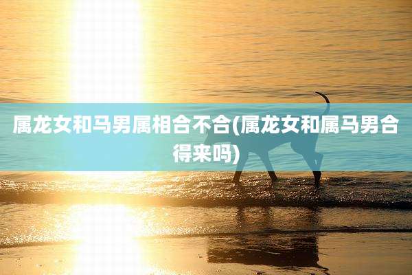 属龙女和马男属相合不合(属龙女和属马男合得来吗)