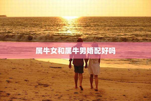 属牛女和属牛男婚配好吗