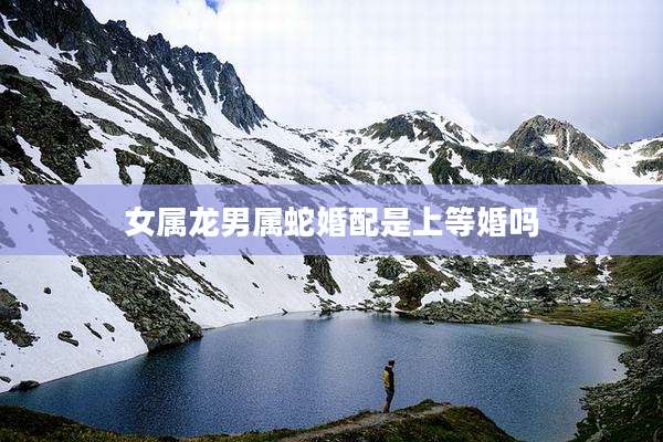 女属龙男属蛇婚配是上等婚吗