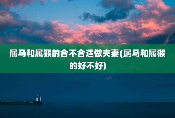 属马和属猴的合不合适做夫妻(属马和属猴的好不好)