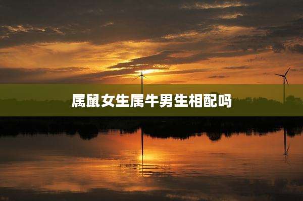 属鼠女生属牛男生相配吗