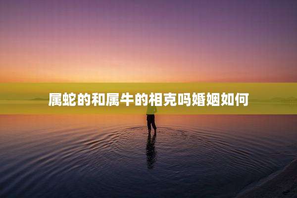 属蛇的和属牛的相克吗婚姻如何