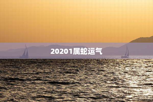 20201属蛇运气