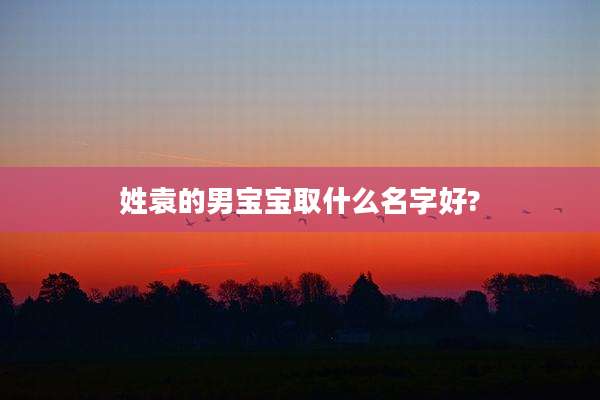 姓袁的男宝宝取什么名字好?