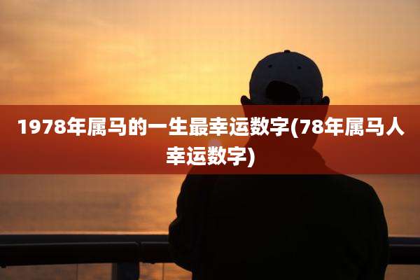 1978年属马的一生最幸运数字(78年属马人幸运数字)