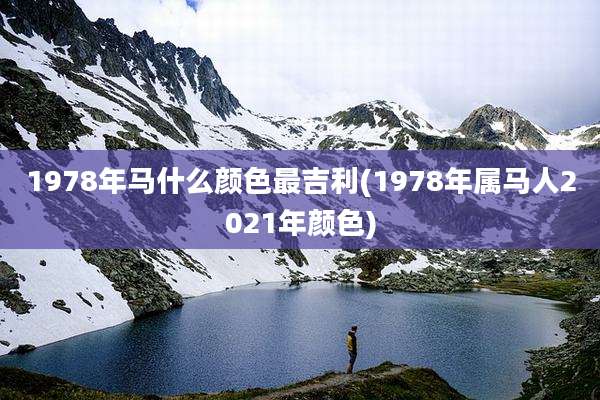 1978年马什么颜色最吉利(1978年属马人2021年颜色)