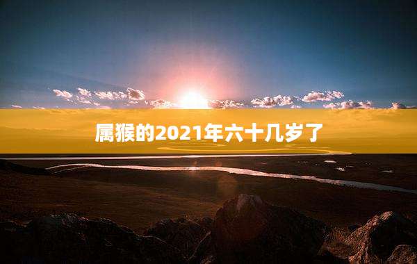 属猴的2021年六十几岁了