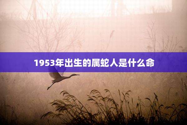 1953年出生的属蛇人是什么命