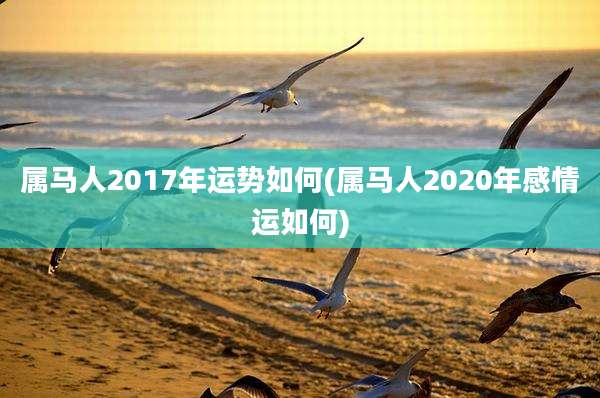 属马人2017年运势如何(属马人2020年感情运如何)