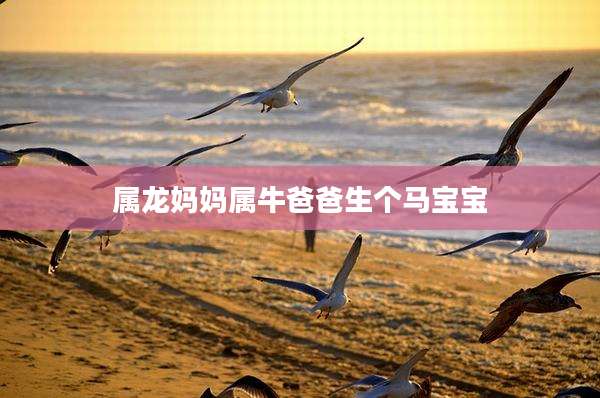属龙妈妈属牛爸爸生个马宝宝