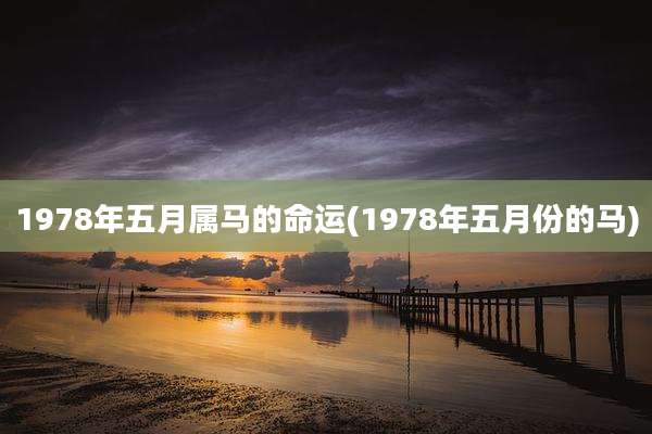 1978年五月属马的命运(1978年五月份的马)
