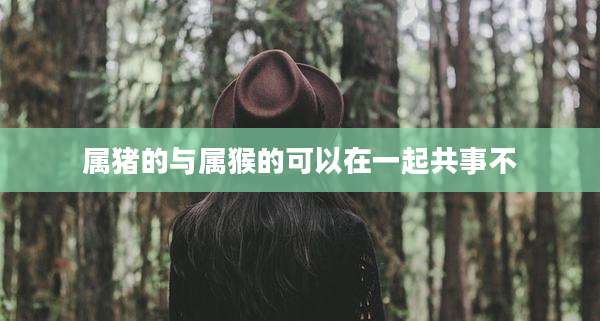 属猪的与属猴的可以在一起共事不