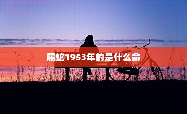 属蛇1953年的是什么命
