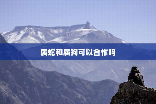 属蛇和属狗可以合作吗