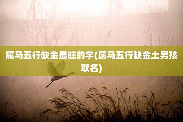 属马五行缺金最旺的字(属马五行缺金土男孩取名)