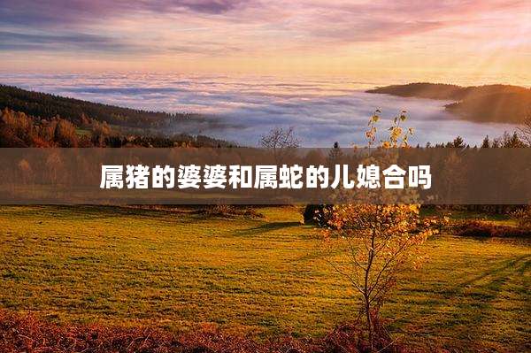 属猪的婆婆和属蛇的儿媳合吗