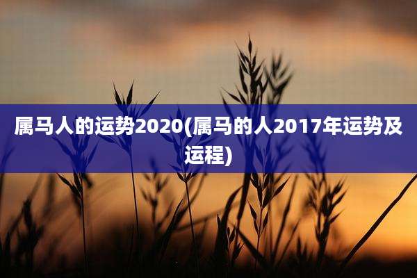 属马人的运势2020(属马的人2017年运势及运程)