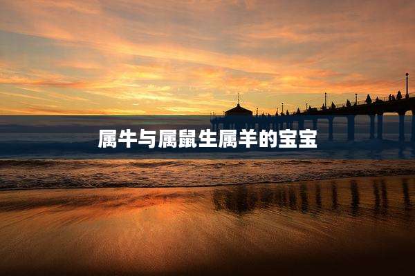 属牛与属鼠生属羊的宝宝