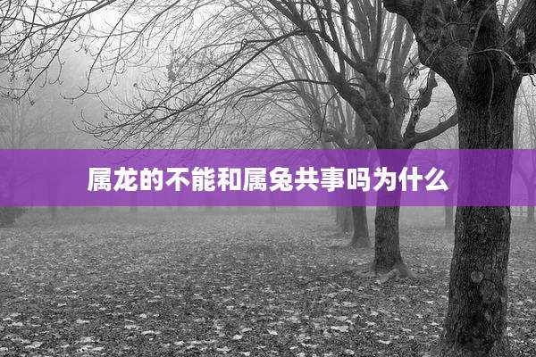 属龙的不能和属兔共事吗为什么