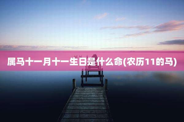 属马十一月十一生日是什么命(农历11的马)