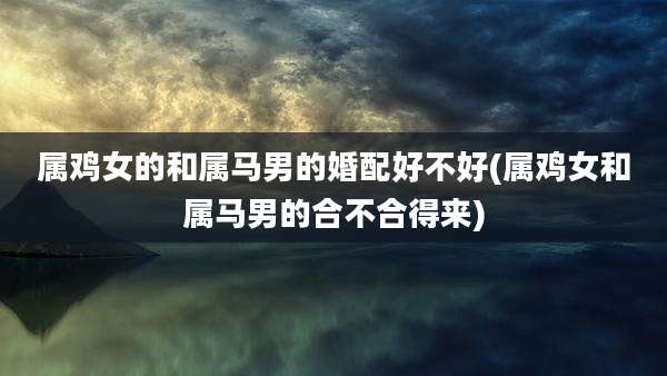 属鸡女的和属马男的婚配好不好(属鸡女和属马男的合不合得来)